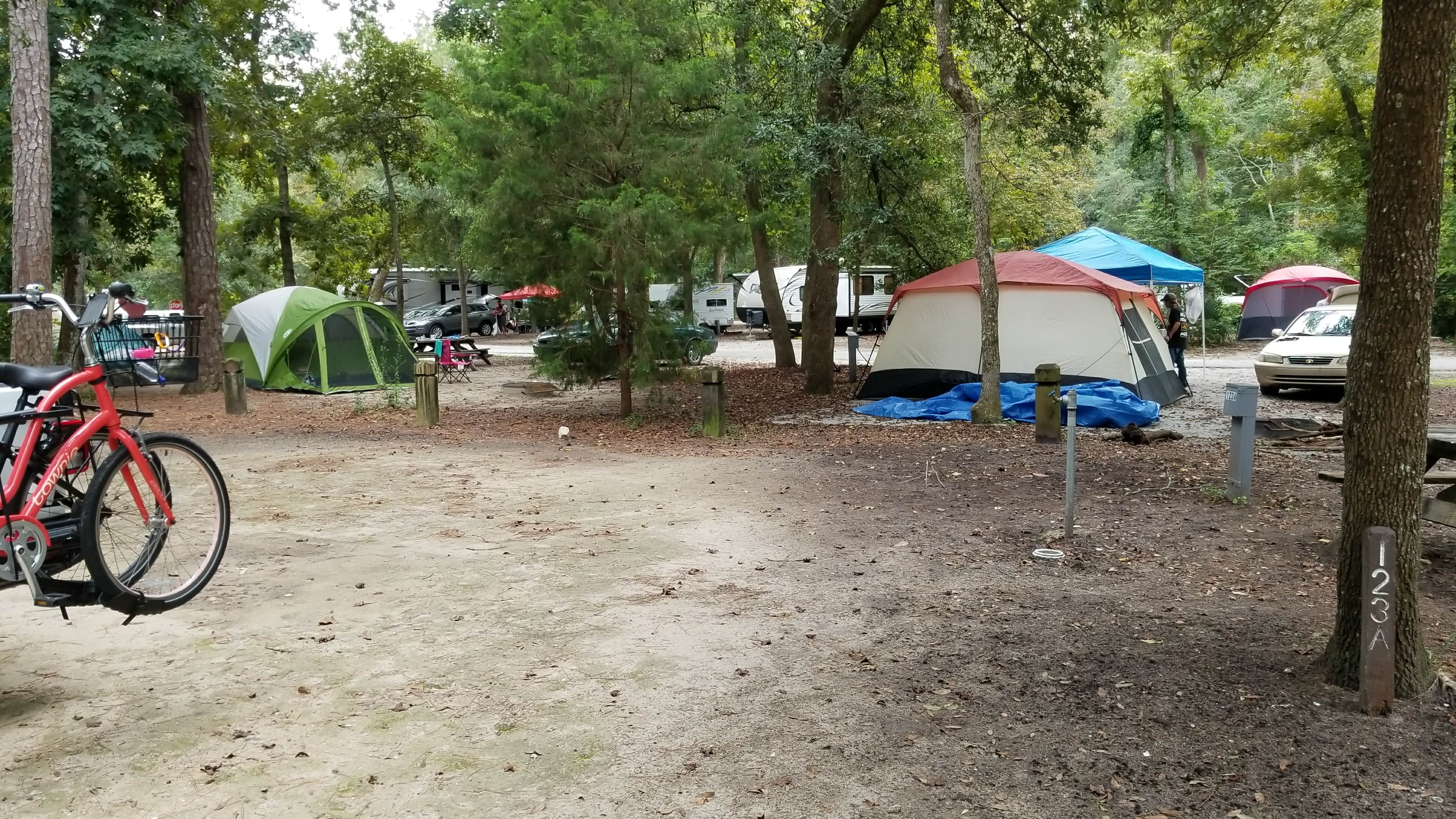 L O.'s photo at Myrtle Beach State Park Campground near Conway, SC