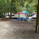 Review photo of Myrtle Beach State Park Campground by L O., September 24, 2020