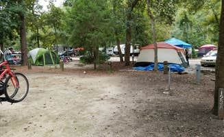 L O.'s photo at Myrtle Beach State Park Campground near Conway, SC