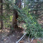 Review photo of Apache National Forest Winn Campground by Cassondra G., September 24, 2020