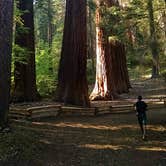 Review photo of Housekeeping Camp — Yosemite National Park by Thomas H., July 7, 2016