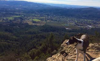 Michael I.'s photo of camping with pets at Sugarloaf Ridge State Park Campground near Angwin, CA