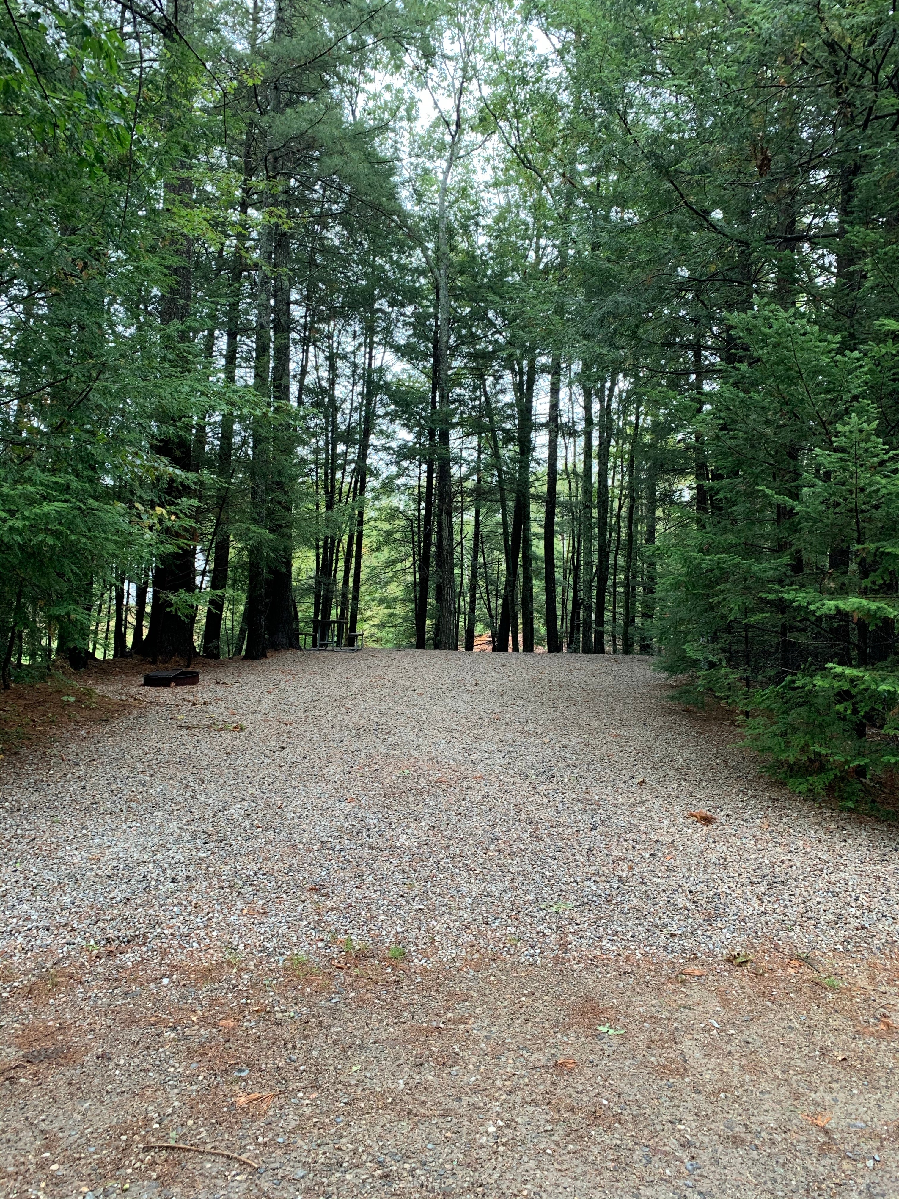 Camper submitted image from Hemlock Grove Campground - 5