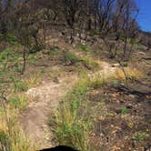 Review photo of Sugarloaf Ridge State Park Campground by Michael I., May 18, 2018