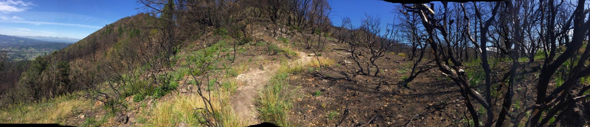 Sugarloaf Ridge State Park Campground | Kenwood, California