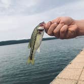 Review photo of Lake Guntersville State Park Campground by Tina  F., September 24, 2020