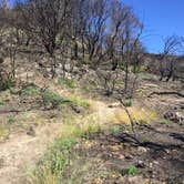 Review photo of Sugarloaf Ridge State Park Campground by Michael I., May 18, 2018