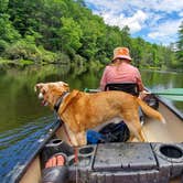 Review photo of Seneca State Forest by Mike C., September 24, 2020