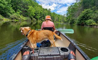 Mike C.'s photo of camping with pets at Seneca State Forest in West Virginia
