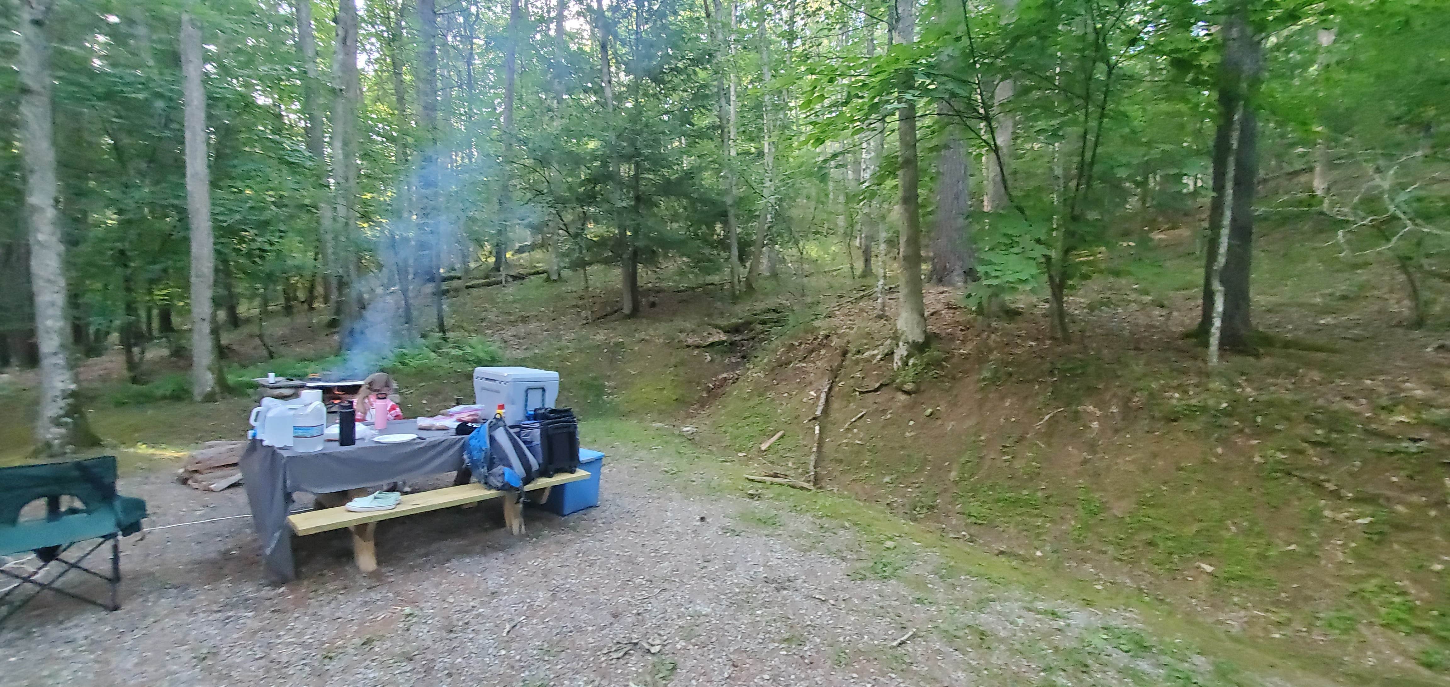 Mike C.'s photo at Seneca State Forest near Snowshoe, WV