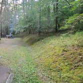 Review photo of Seneca State Forest by Mike C., September 24, 2020