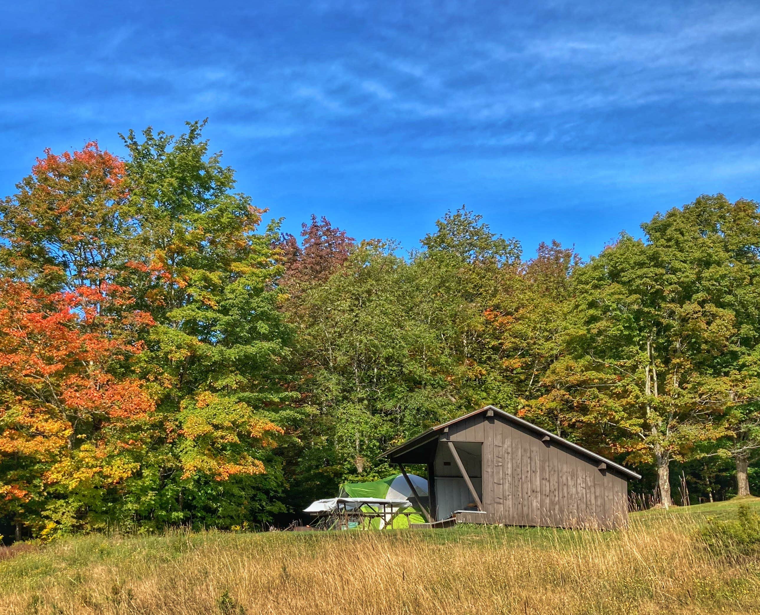 Camper submitted image from Elmore State Park Campground - 3