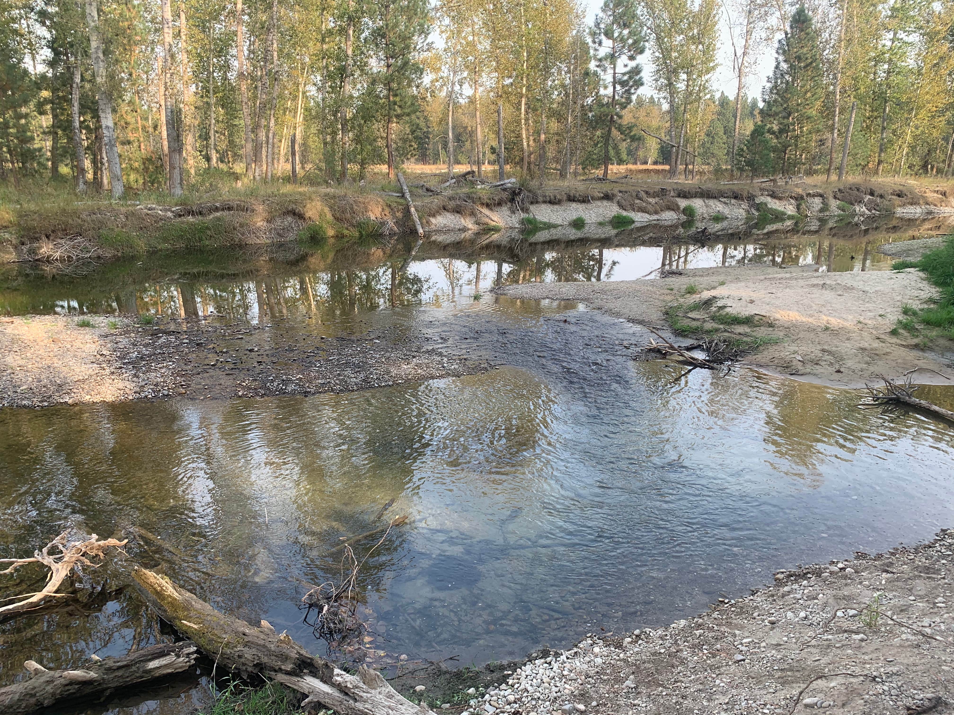 Camper-submitted photo at Chief Looking Glass Campground near Lolo, MT
