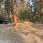 Review photo of Chief Looking Glass Campground by Neil T., September 24, 2020