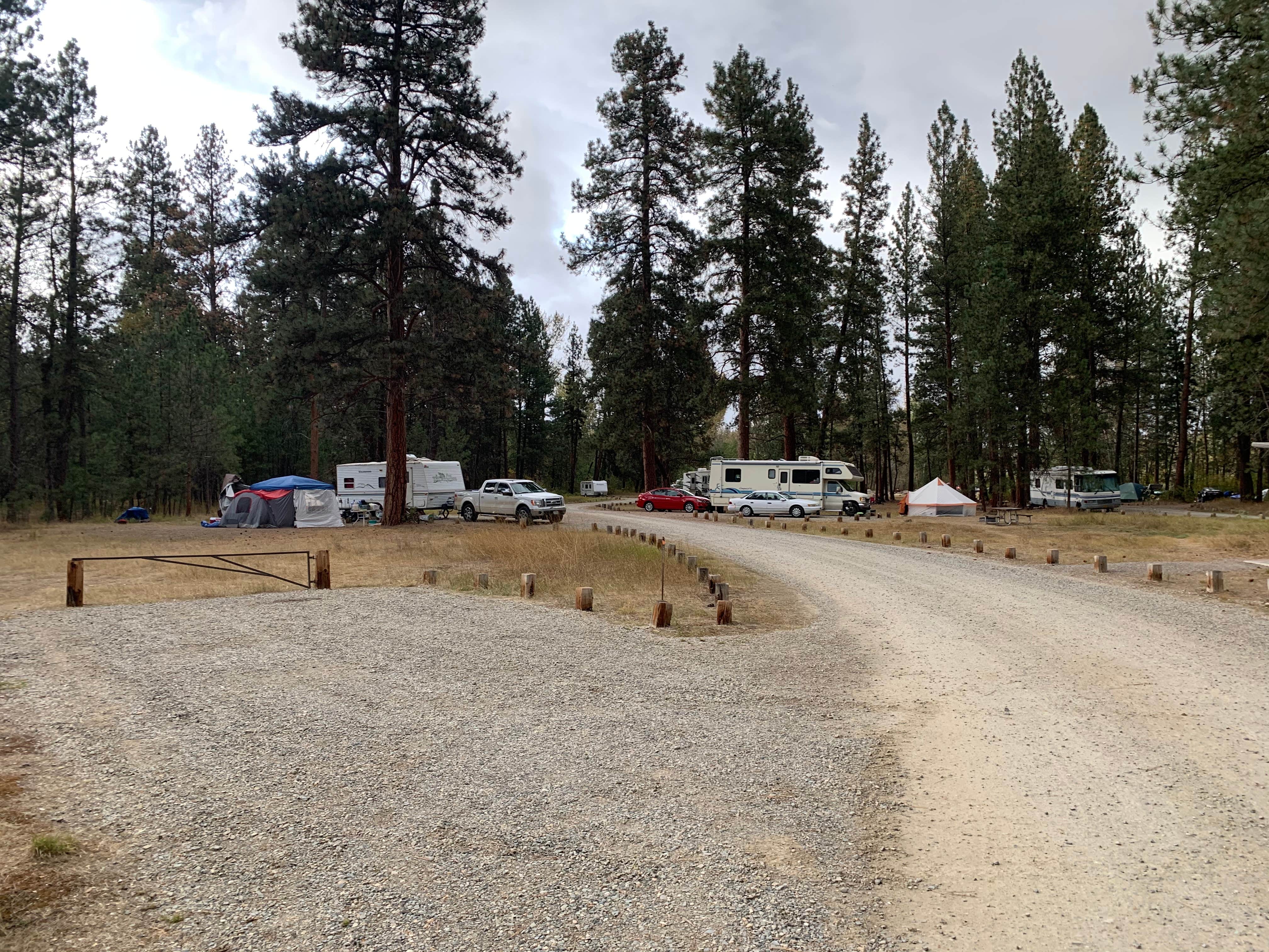 Camper-submitted photo at Chief Looking Glass Campground near Lolo, MT