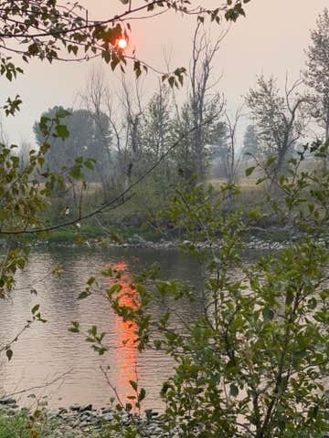 Camper submitted image from Anglers Roost Campground - 3