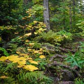 Review photo of George Crosby Manitou State Park by Jeremy B., September 19, 2020