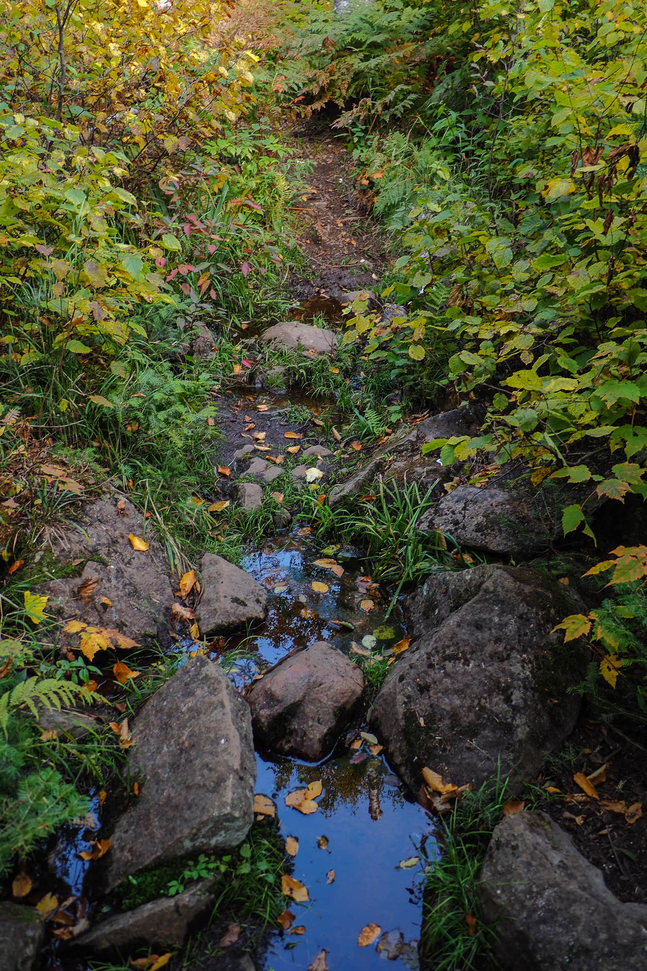 Camper submitted image from George Crosby Manitou State Park - 1