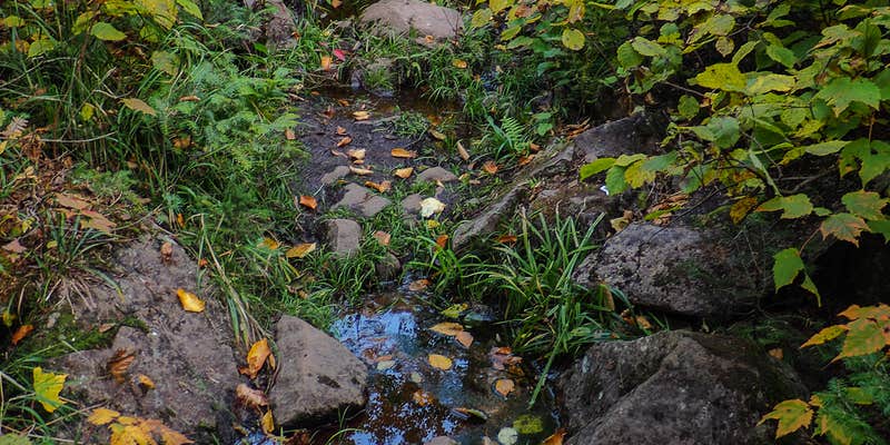 Camper submitted image from George H. Crosby Manitou State Park Campground