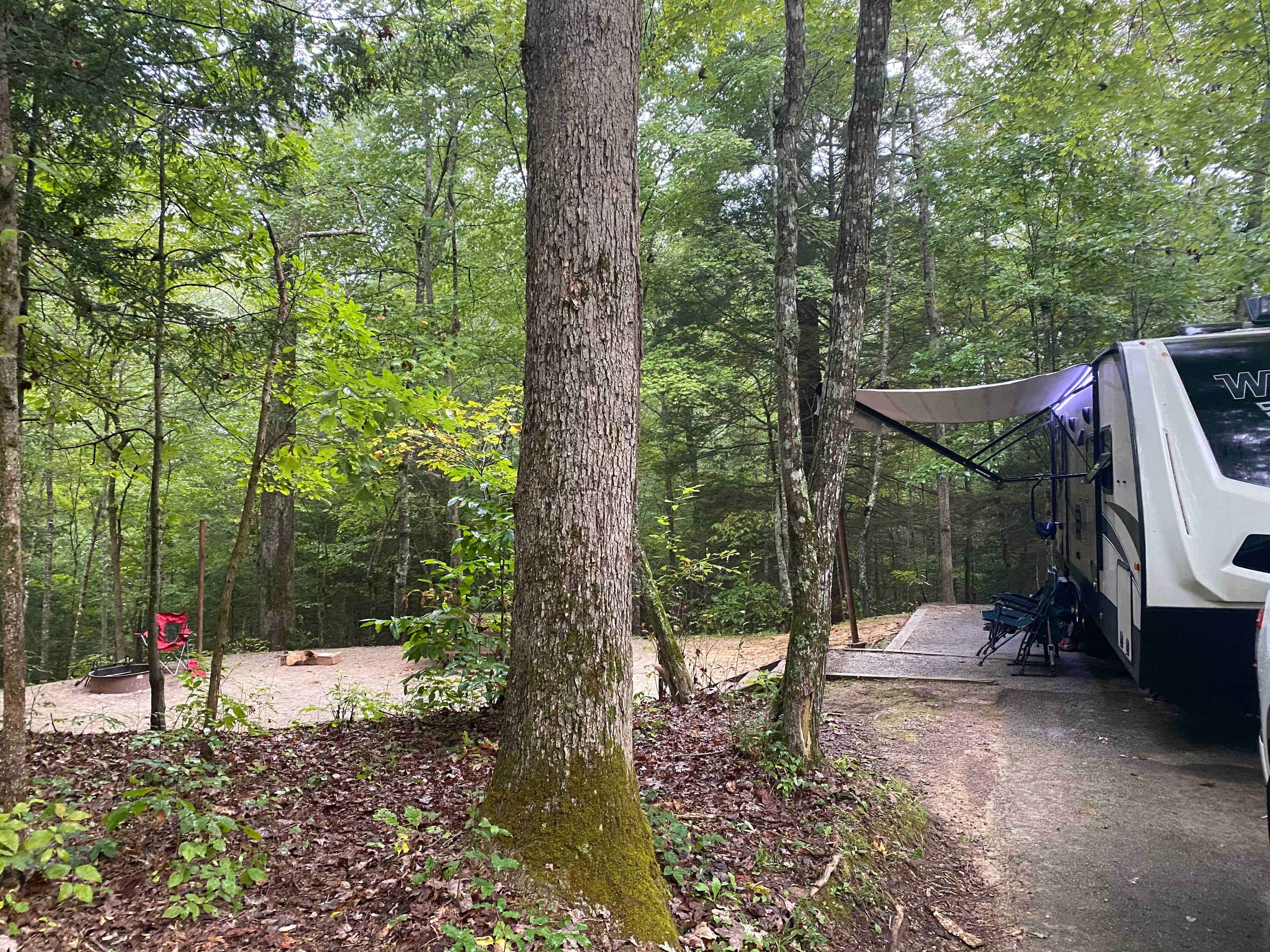 Carissa D.'s photo at Holly Bay near Keavy, KY