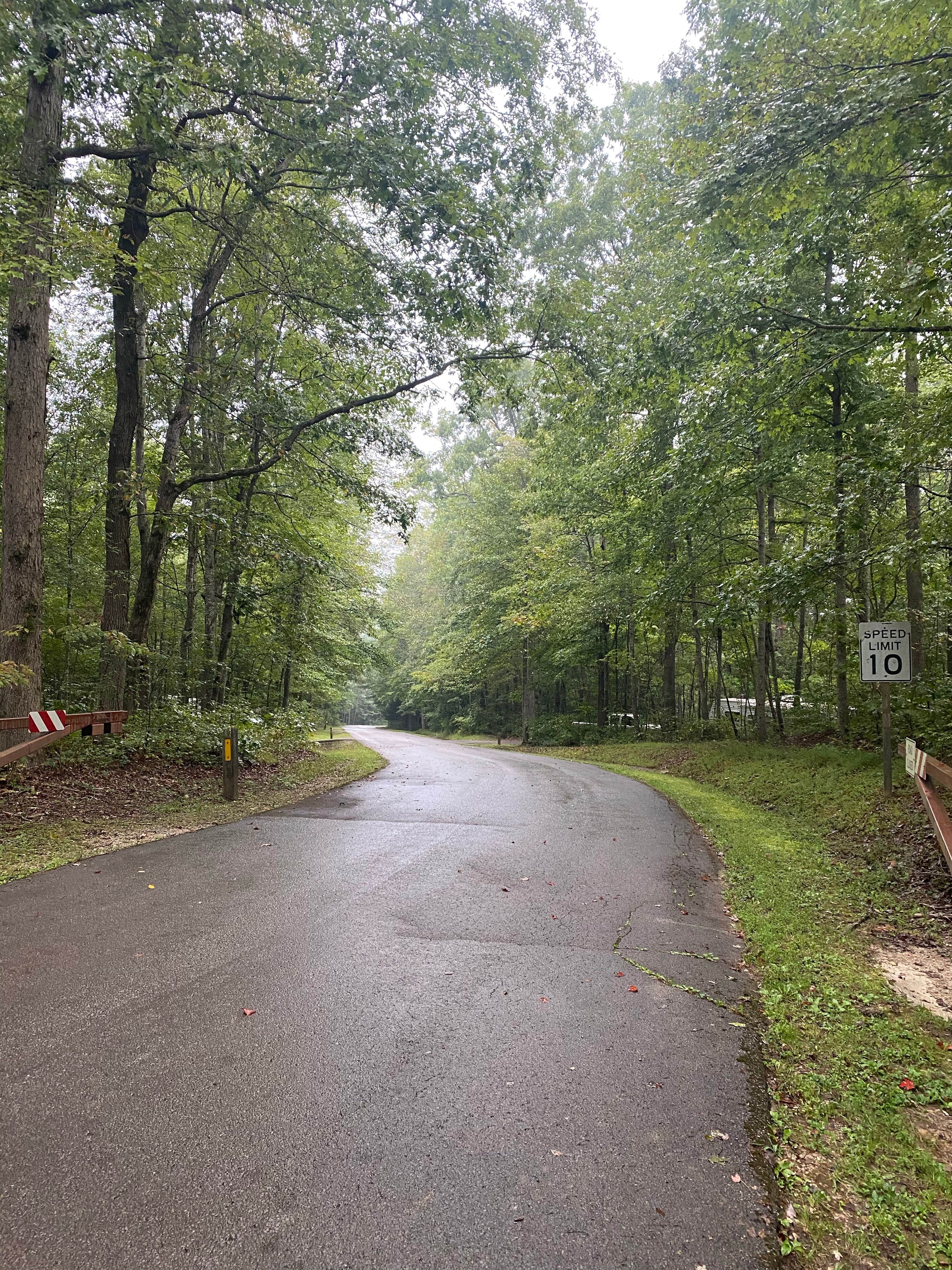 Best Camping In Laurel River Lake The Dyrt