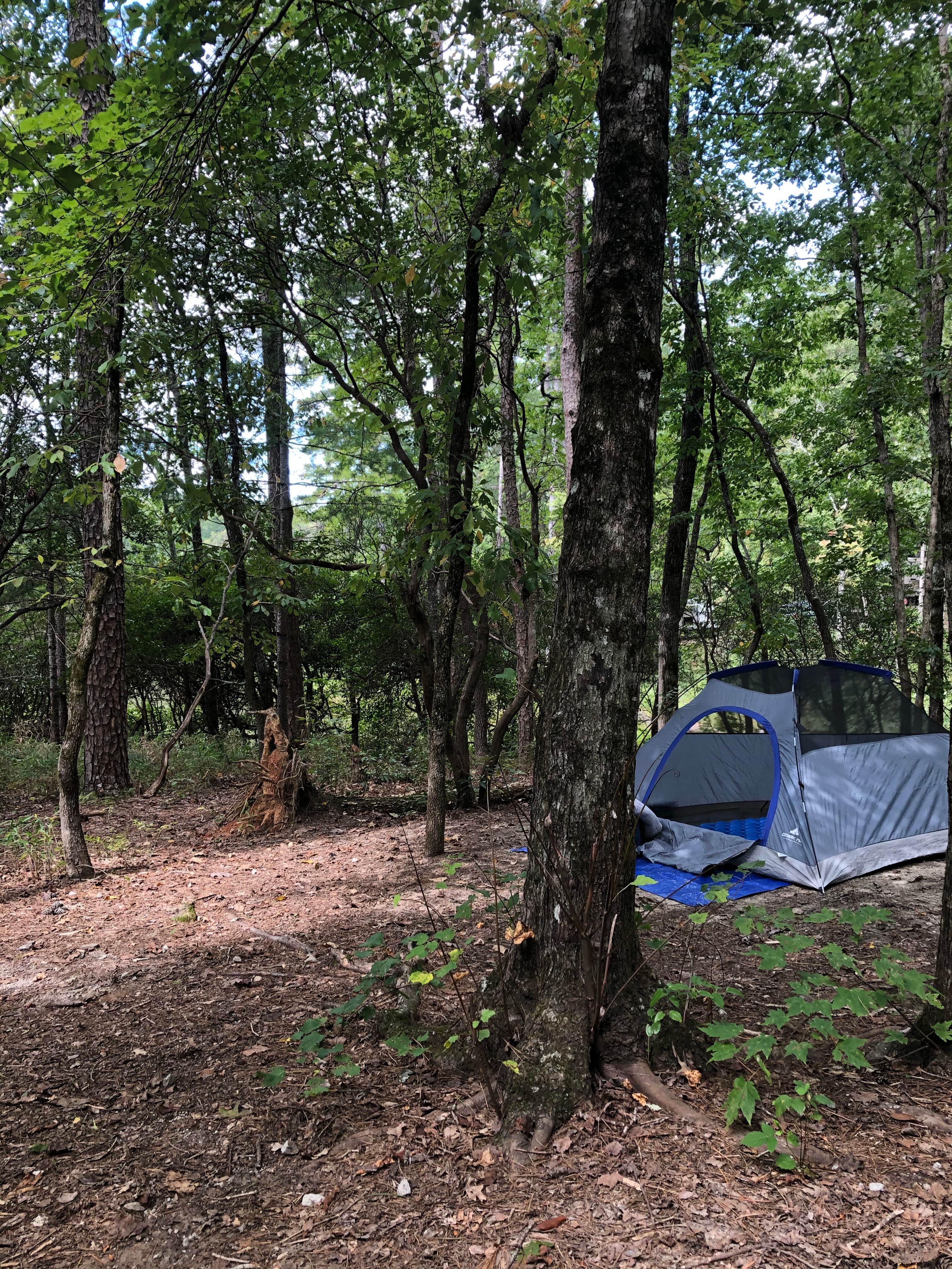 Chanel F.'s photo at Oconee State Park Campground near Walhalla, SC