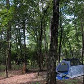 Review photo of Oconee State Park Campground by Chanel F., September 24, 2020