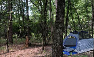 Chanel F.'s photo at Oconee State Park Campground in South Carolina