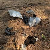 Review photo of Pumphouse Wash (FR 237) Dispersed Camping Area by Emelie G., September 24, 2020