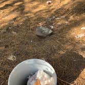 Review photo of Pumphouse Wash (FR 237) Dispersed Camping Area by Emelie G., September 24, 2020
