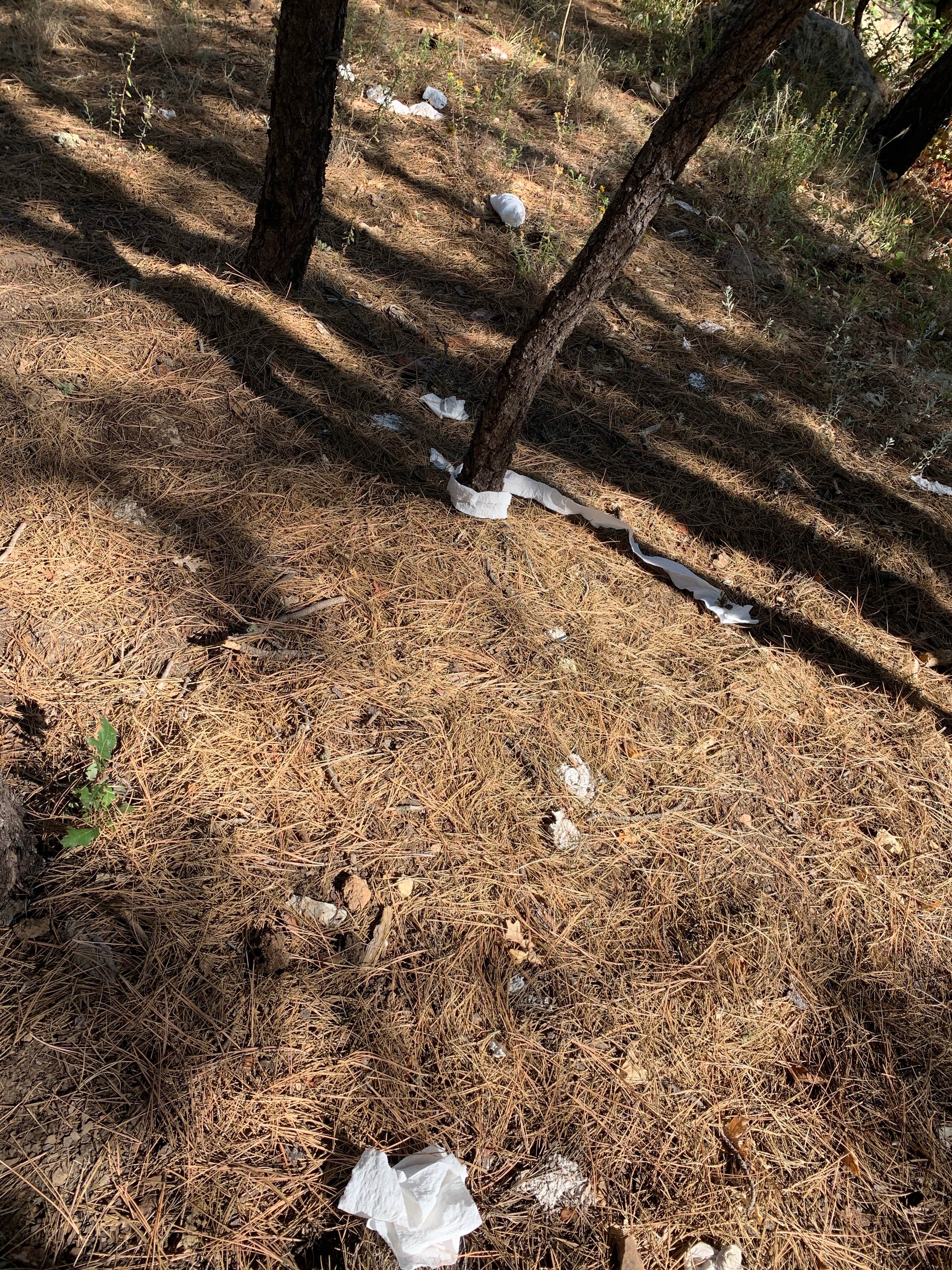 Pumphouse Wash (FR 237) Dispersed Camping Area