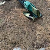 Review photo of Pumphouse Wash (FR 237) Dispersed Camping Area by Emelie G., September 24, 2020