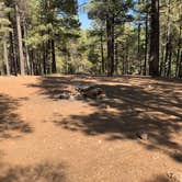 Review photo of Pumphouse Wash (FR 237) Dispersed Camping Area by Emelie G., September 24, 2020