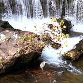 Review photo of Don Carter State Park Campground by Joel R., May 7, 2019