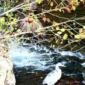 Review photo of Don Carter State Park Campground by Joel R., May 7, 2019