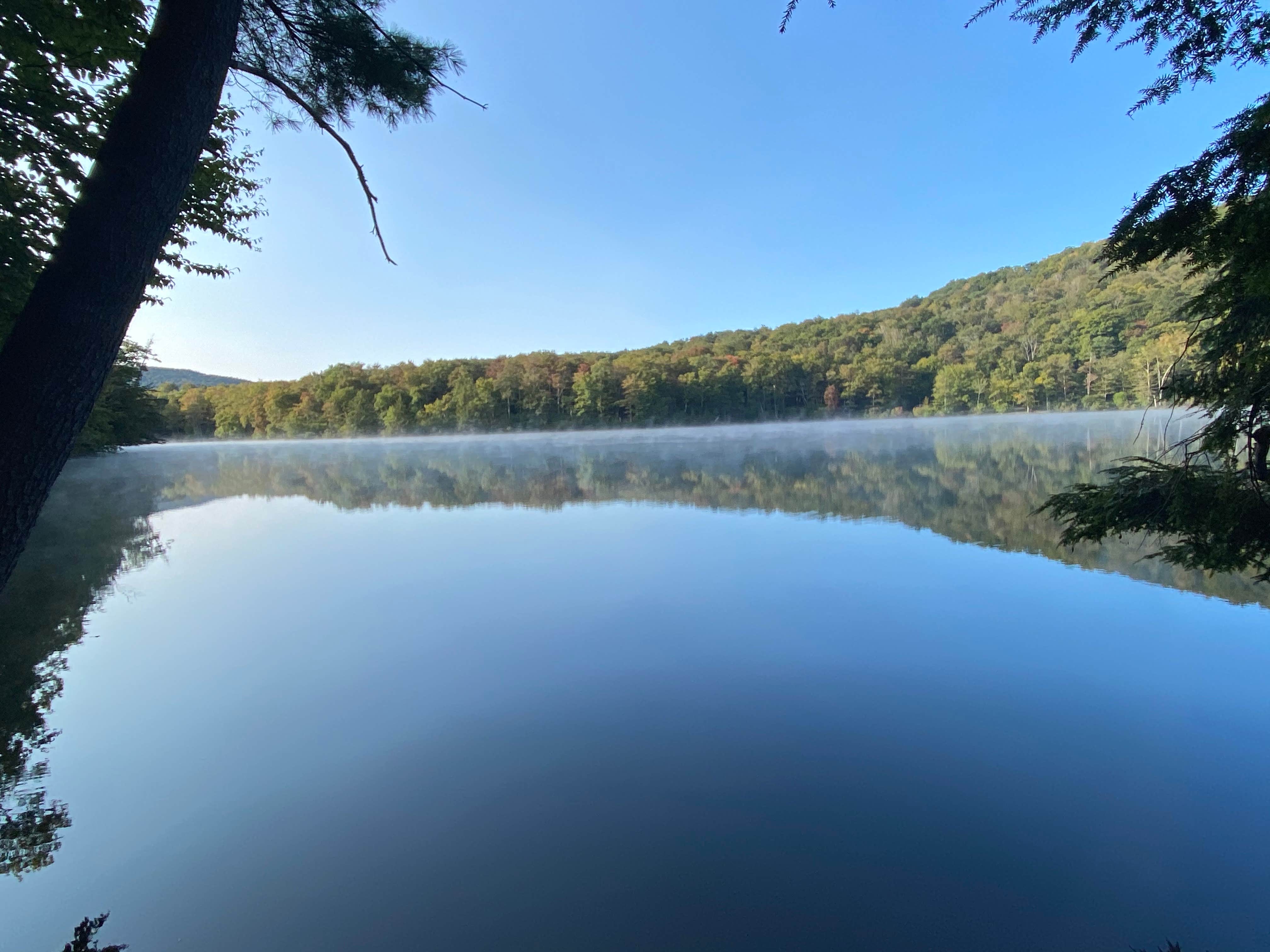 Little Pond Campground Camping The Dyrt