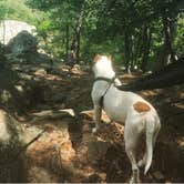 Review photo of Robbers Cave State Park — Robbers Cave State Resort Park by Jennifer D., September 25, 2020