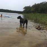 Review photo of Red Oak Area - Okmulgee/Dripping Springs State Park by Jennifer D., September 25, 2020