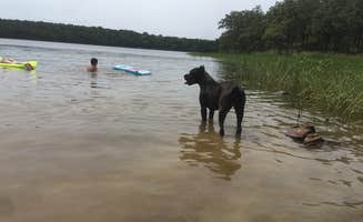 Jennifer D.'s photo of camping with pets at Red Oak Area - Okmulgee/Dripping Springs State Park near Eufaula Lake