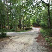 Review photo of Candy mountain rv resort by David C., September 25, 2020