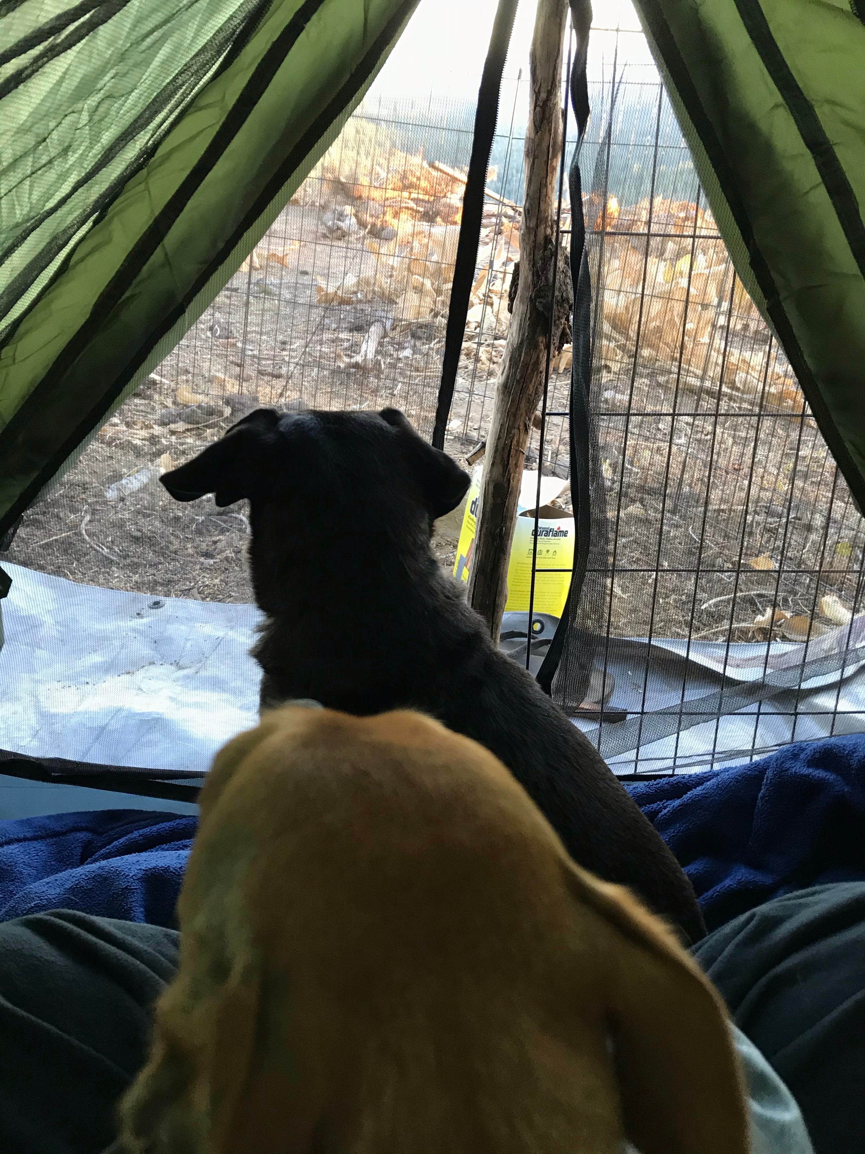 Camper submitted image from Iron MT. Dispersed - 2