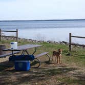 Review photo of Black Lake State Forest Upper ORV Campground by Brad T., May 18, 2018