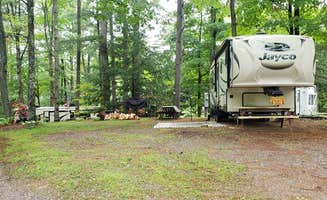 Jean C.'s photo of rv camping at Brookwood RV Resort near Brant Lake, NY