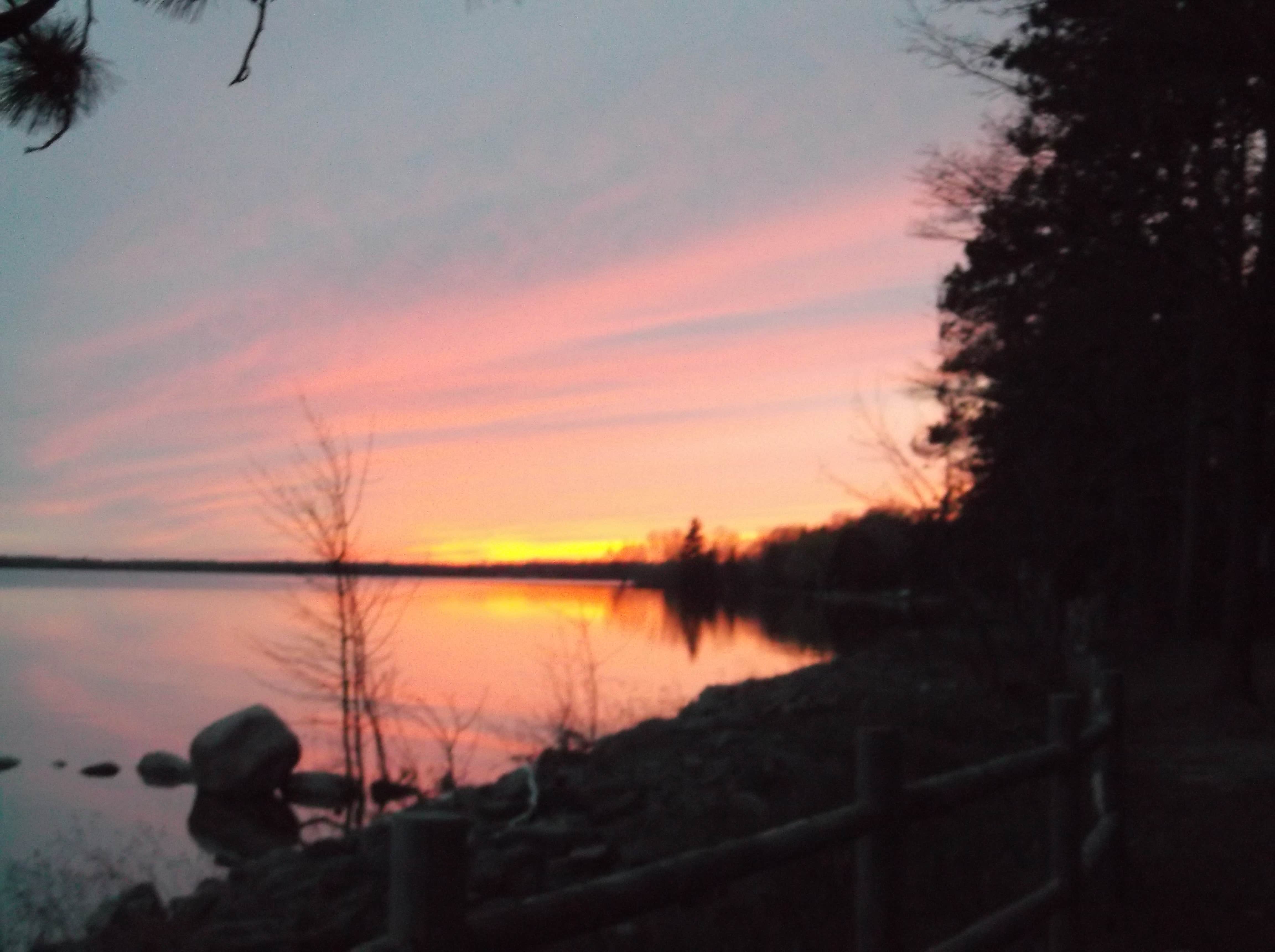 Camper submitted image from Black Lake State Forest Upper ORV Campground - 3