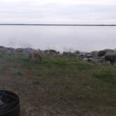 Review photo of Black Lake State Forest Upper ORV Campground by Brad T., May 18, 2018