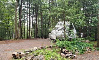 Jean C.'s photo at Brookwood RV Resort near Clemons, NY