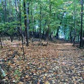 Review photo of Frontenac State Park Campground by Ryan W., September 25, 2020