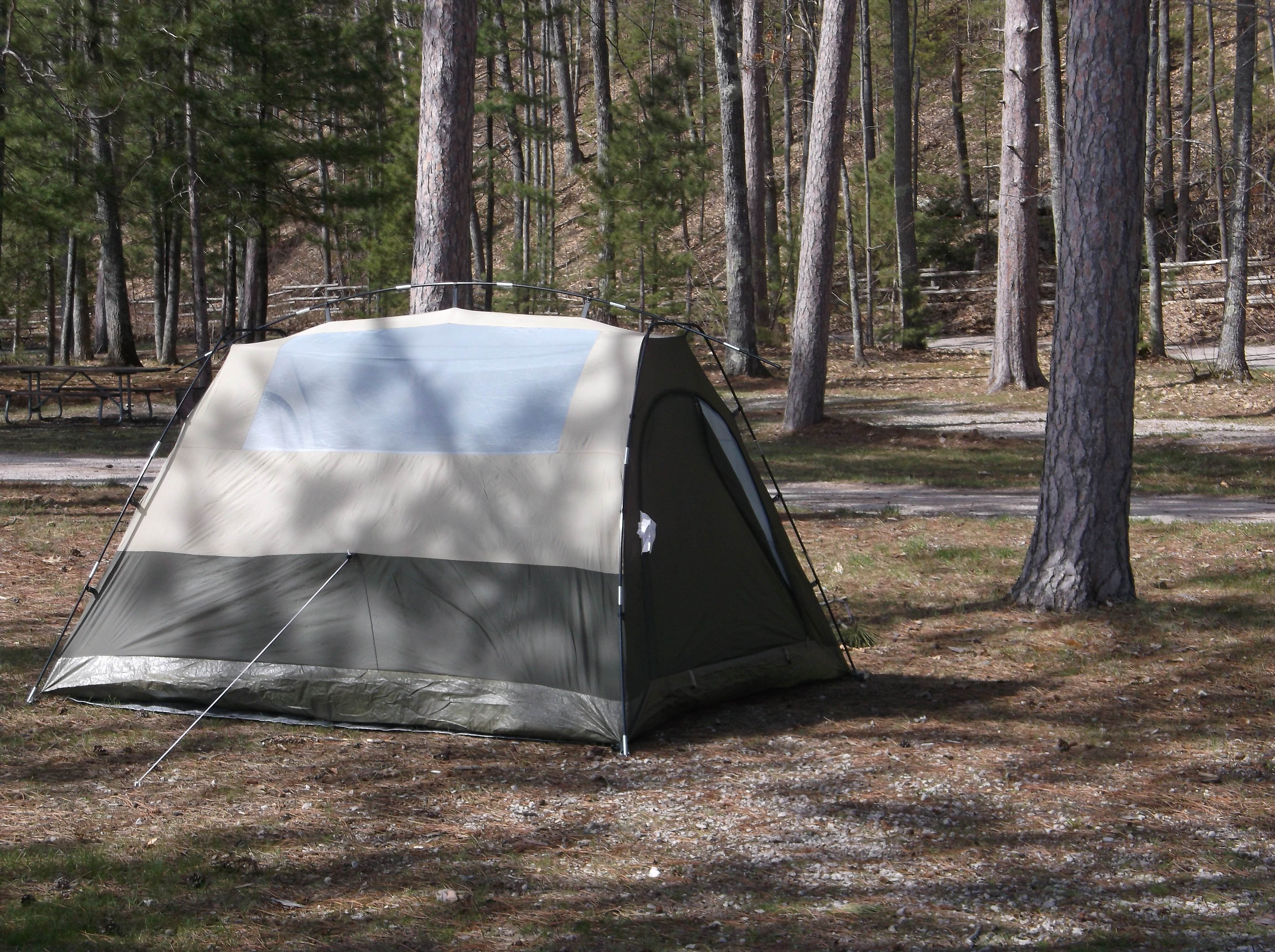 Camper submitted image from Black Lake State Forest Upper ORV Campground - 3