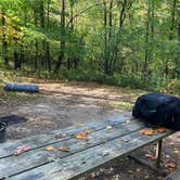 Review photo of Frontenac State Park Campground by Ryan W., September 25, 2020