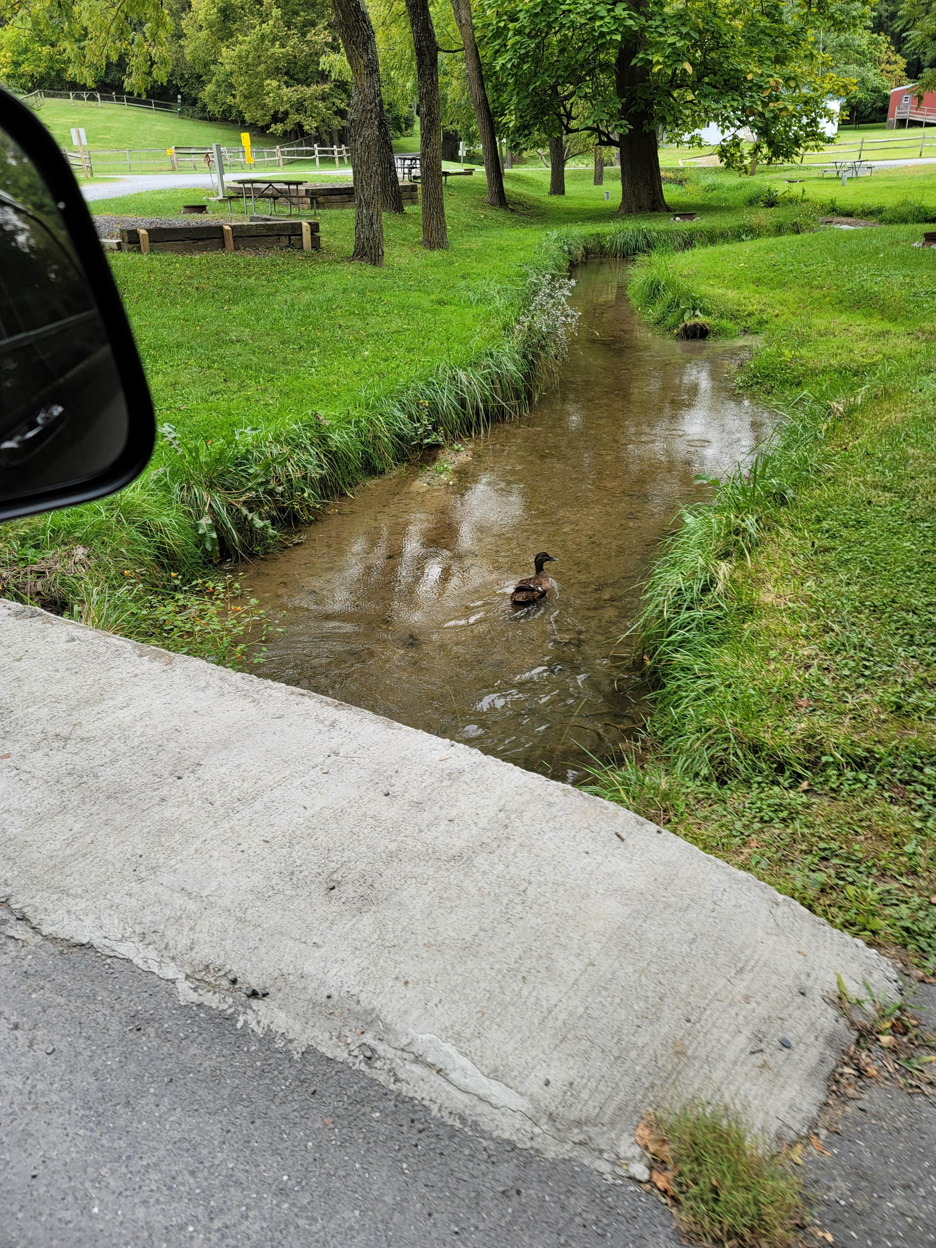 Camper-submitted photo at Walnut Hills Campground & RV Park near Buchanan, VA